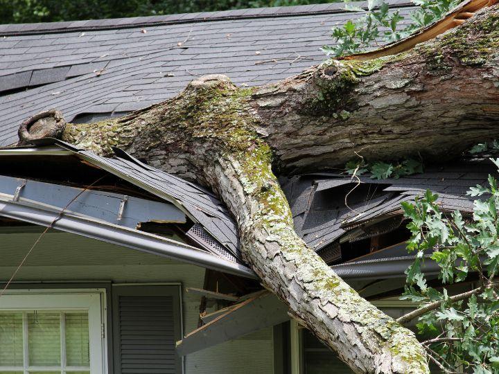 storm damage